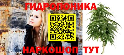 не бодяженный Новокубанск